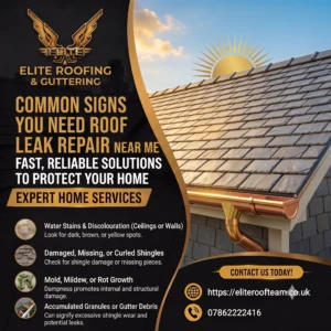Professional Roof Repair Services
