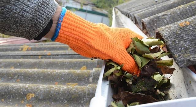 Professional gutter cleaning service